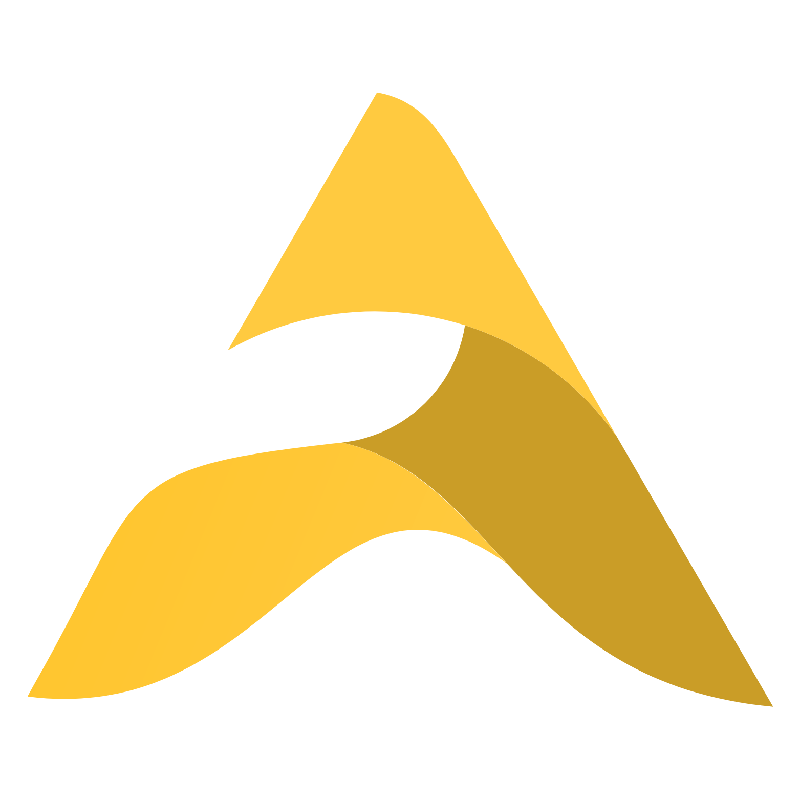 Anjum Electronic Logo